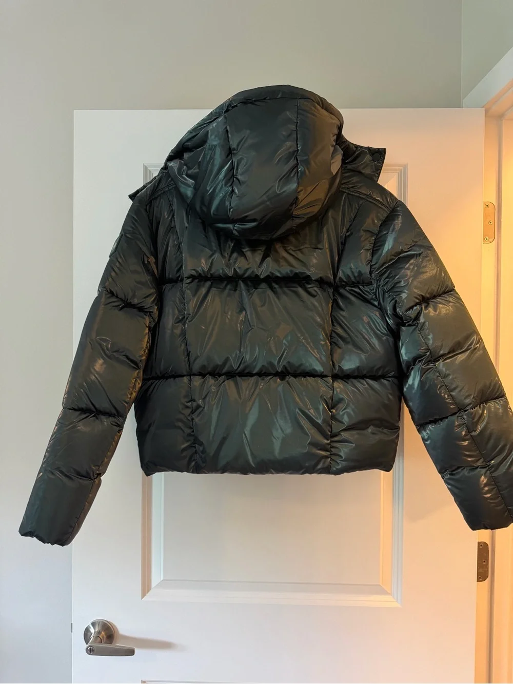 ALO Yoga Green Pearlized Pristine Puffer Jacket